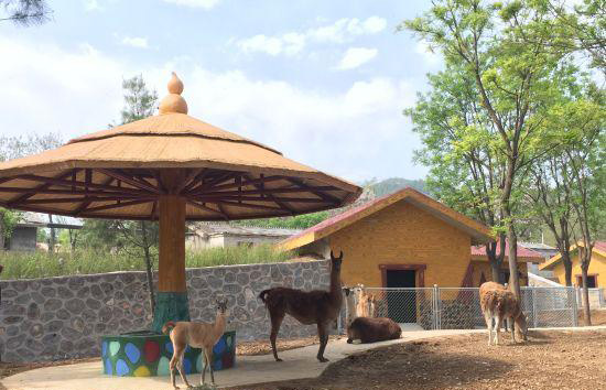石家莊動(dòng)物園景觀項(xiàng)目工程改造升級(jí)順利完成